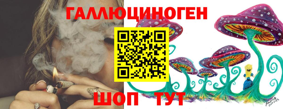 Галлюциногенные грибы GOLDEN TEACHER  Вход с VPN  хочу наркоту  Хабаровск 